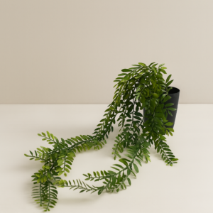 עציץ בודד נשפך  – אאוטלט